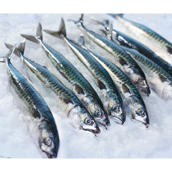 Maquereau  3523680431201 