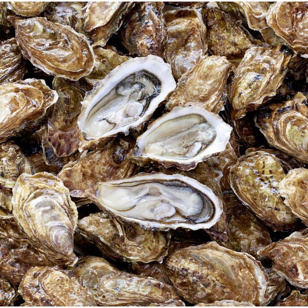  Huîtres creuses  code EAN 3523680451797 