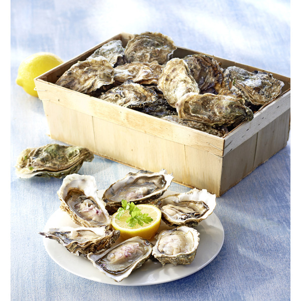 Huîtres fines de claire Marennes Oléron