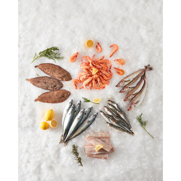 Sole de roche d'élevage 3523680466012 