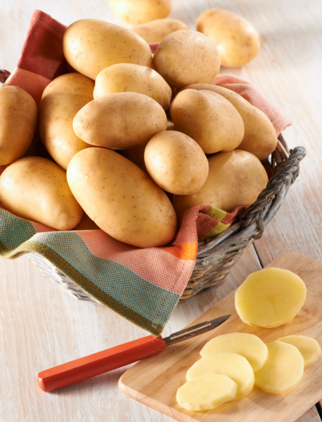 Pomme de terre de consommation blanche à chair ferme agroécologie FILIÈRE QUALITÉ CARREFOUR 3523680497511 Pomme de terre de consommation blanche à chair ferme agroécologie FILIÈRE QUALITÉ CARREFOUR 3523680497511