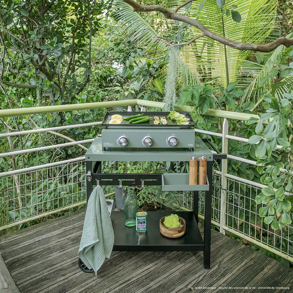  PLANCHA GAZ 3 BRULEURS code EAN 3523930108587 