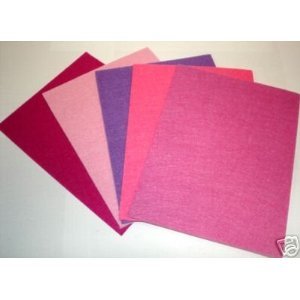 PW International - Lot de 5 Feutrines à découpe...