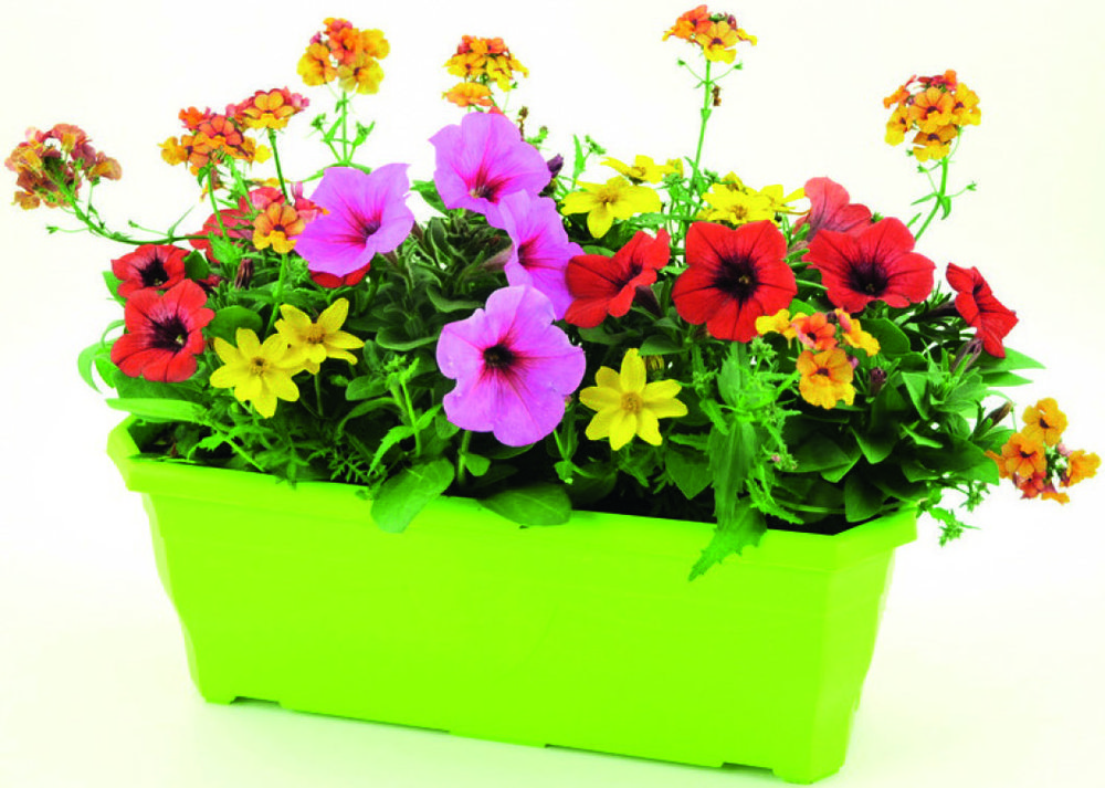  MIX COUPES & JARDINIÈRES code EAN 3538722011907 