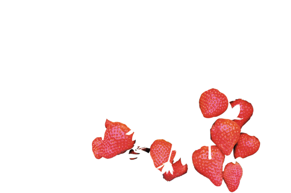  Plants De Fraisiers code EAN 3540720607082 