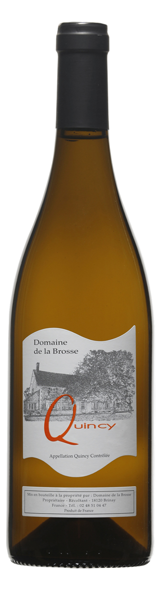  QUINCY AOP 2024 code EAN 3544980000003 