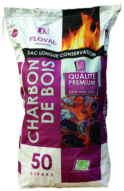 CHARBON DE BOIS 3545770230020 (3545770230020)