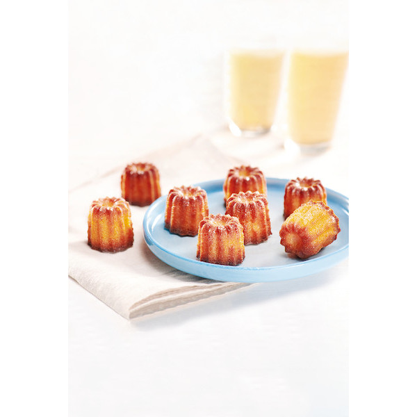 CANNELÉS DE BORDEAUX AU MIEL 3557003008719 (3557003008719)
