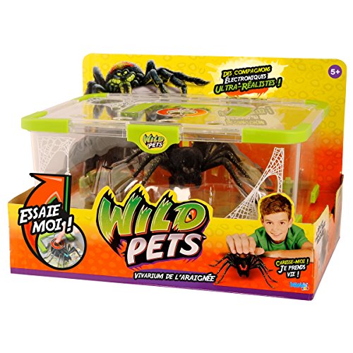 - kk29002 - terrarium + araignée exclusive