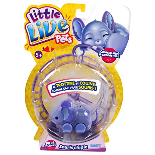 - kk280353 - souris little live pets - astrella