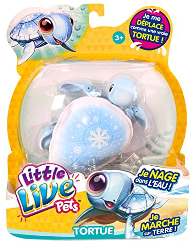 - kk280414 - tortue flocon des neiges