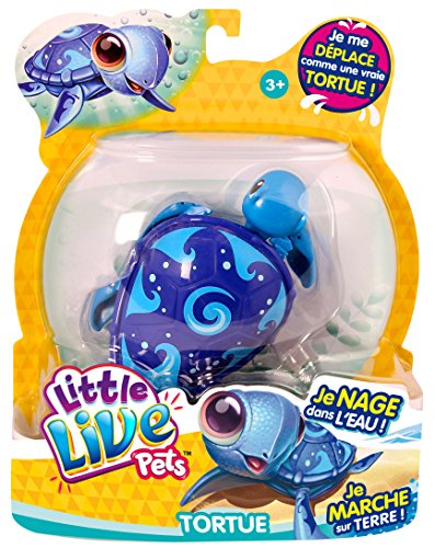 - kk280411 - tortue surfy la surfeuse