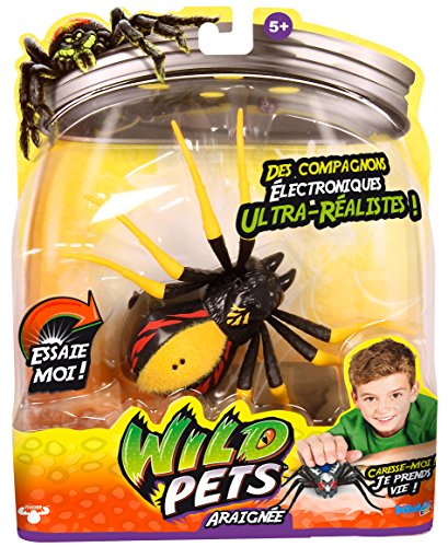 - kk290162 - araignée interactive  hunter -  wi...