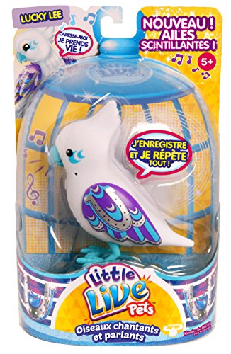 - kk282224 - oiseau lucky lee - little live pet...