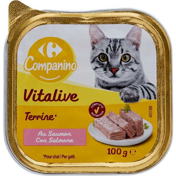 Terrine pour chats 