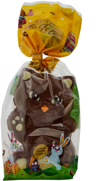 Moulage décoré en chocolat