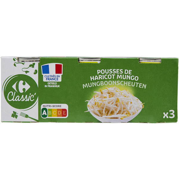 Pousses de haricots Mungo