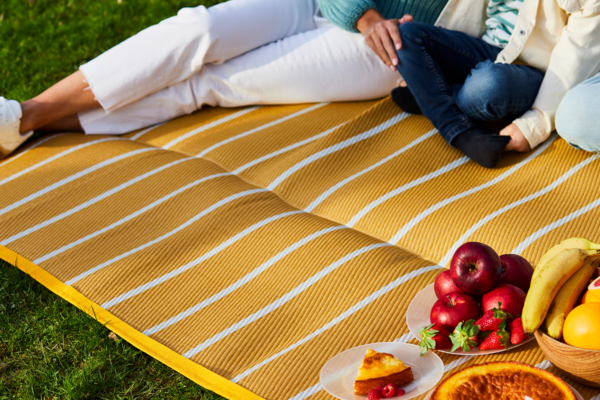 Tapis pique-nique 3560232570735 