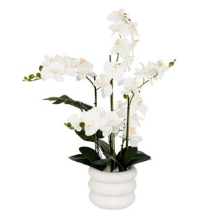  Orchidée H. 80 cm MICK Blanc code EAN 3560233015792 