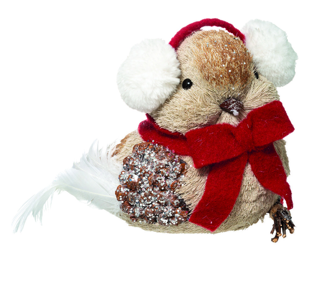  OISEAU code EAN 3560237543376 