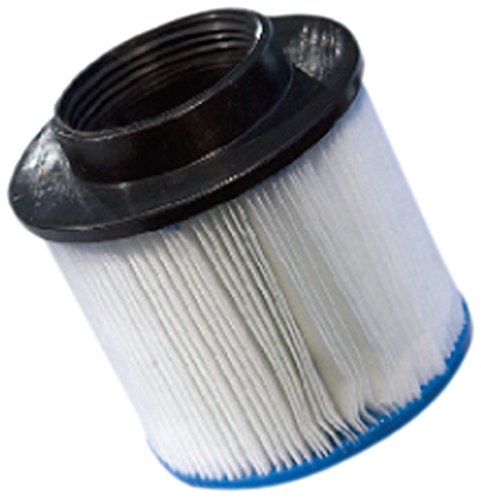 O'Spazia Filtre pour spa 3560238474341 (3560238474341)