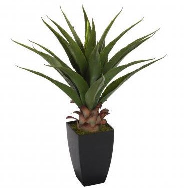 Plante Artificielle avec Pot - 70 cm