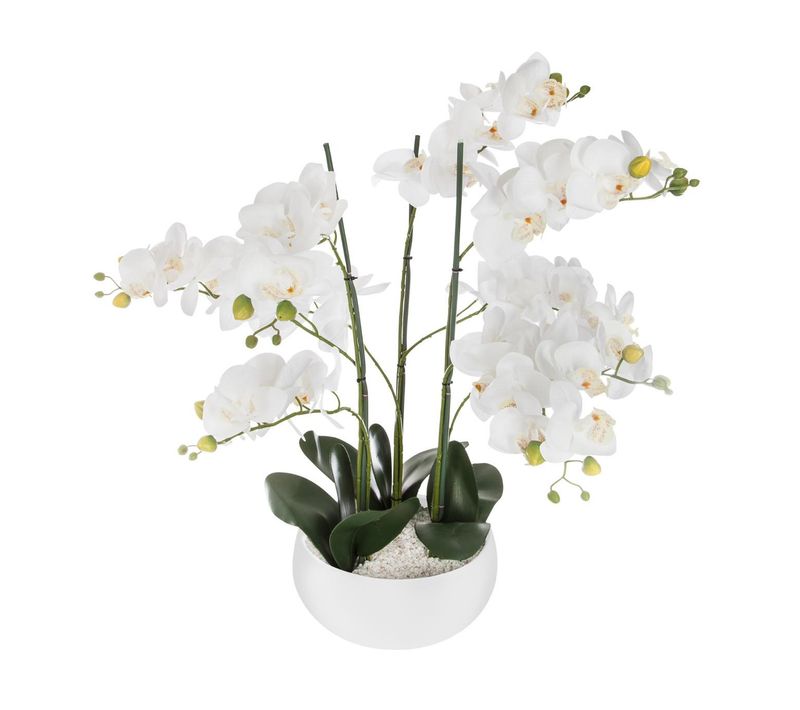  Orchidée pot blanc H.65 cm  Blanc / Vert code EAN 3560239702429 