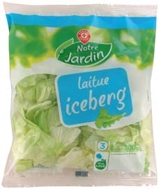 LAITUE ICEBERG “NOTRE JARDIN”
