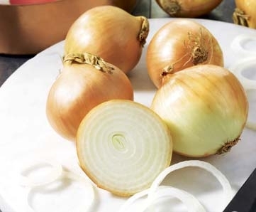 OIGNONS JAUNES FILIERE 