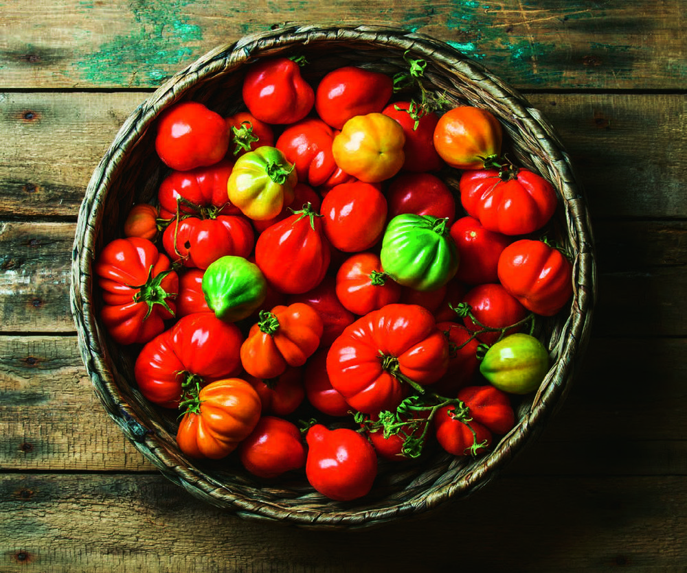 MR2 TOMATE LES ORIGINALES “PANIER DU PRIMEUR” OU “NOTRE JARDIN”* code EAN 3564706583368 