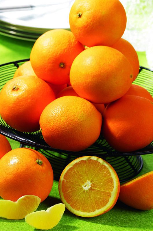 ORANGES À DÉGUSTER FILIÈRE “PANIER DU PRIMEUR”