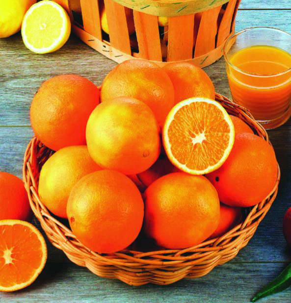 ORANGES À JUS FILIÈRE “PANIER DU PRIMEUR”
