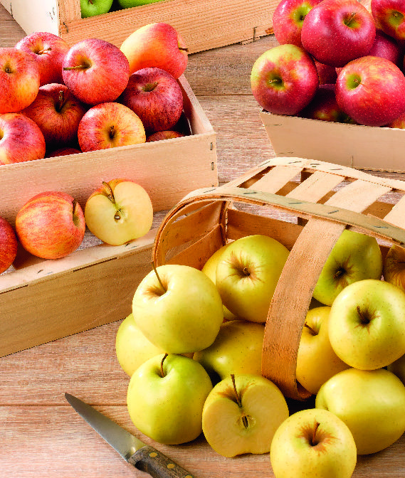 POMMES BIO(2) âBIO VILLAGEâ