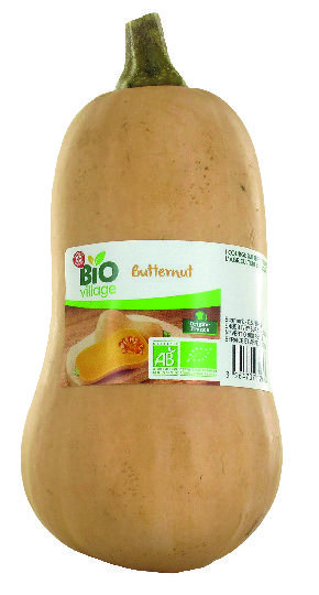 COURGE BUTTERNUT BIO(2) âBIO VILLAGEâ