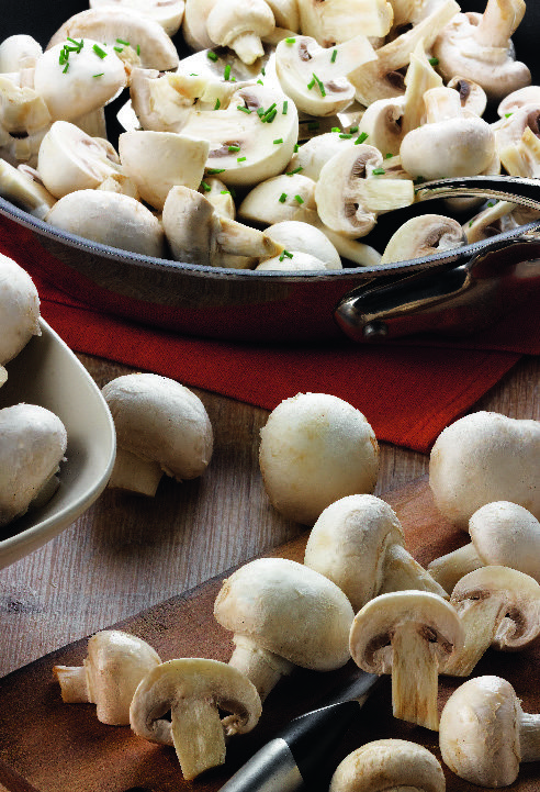 CHAMPIGNONS BLANCS BIO “BIO VILLAGE” 3564707127196 (3564707127196)