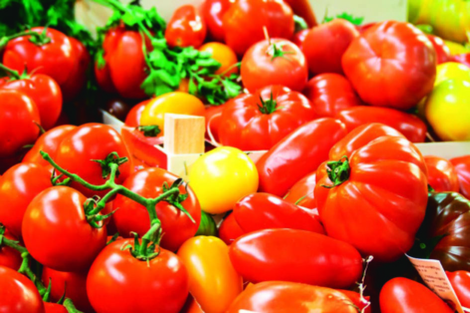 MELANGE DE TOMATES BIO “BIO VILLAGE”