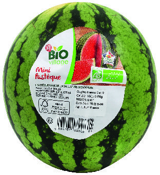 MINI PASTEQUE BIO(4) “BIO VILLAGE”
