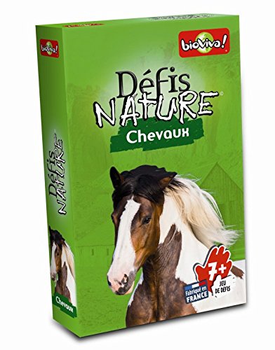 - 282611 - chevaux -  vert