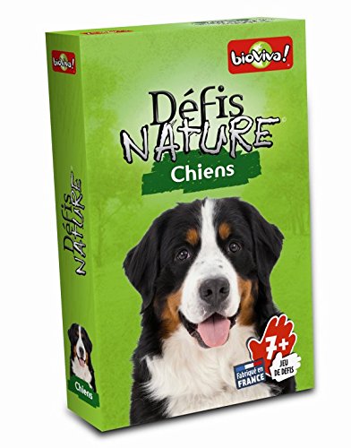 - 282659 - chiens -  vert