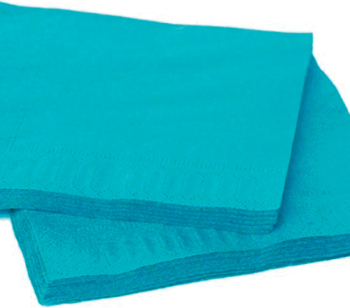 200 SERVIETTES EN PAPIER 2 PLIS 
33 X 33 CM 3570701497159 