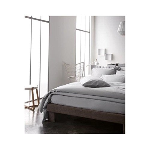 Today 201611 Drap Plat Coton Zinc 240 x 300 cm