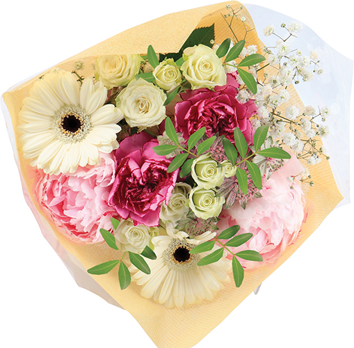  BOUQUET DU SUD code EAN 3587615000993 