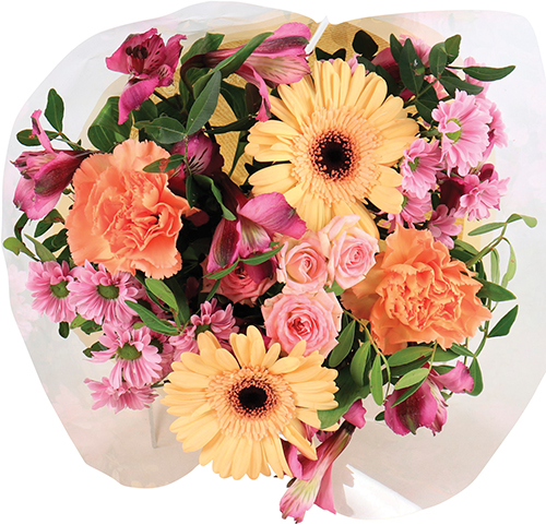  BOUQUET DELPHINE code EAN 3587615221176 