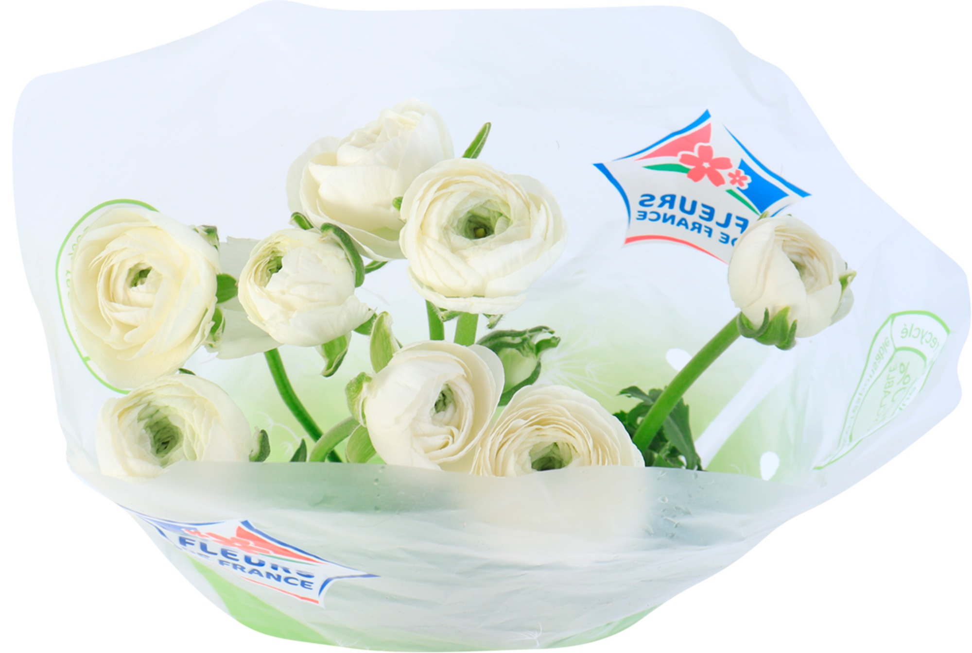  Bouquet de 8 renoncules code EAN 3587615221701 