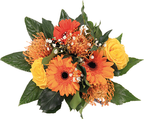  BOUQUET BULLE CABASSE code EAN 3587615225389 