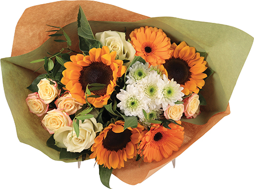  BOUQUET CAP BRUN code EAN 3587615240351 