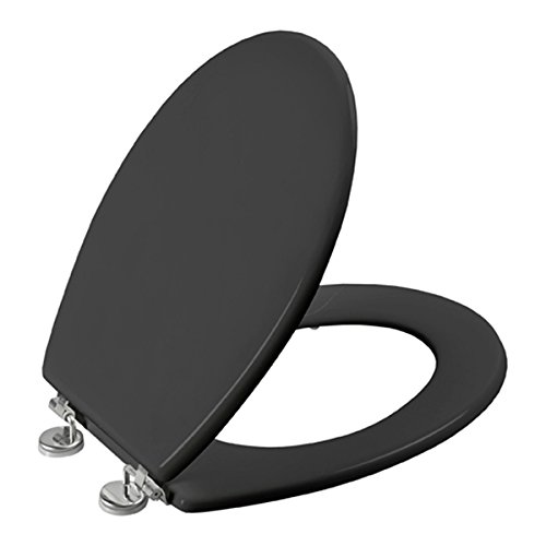 Allibert 168012Y Abattant avec charnières inox ...