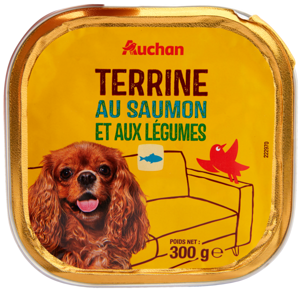 Terrine Au Saumon Et Aux Légumes Pour Chien Auchan