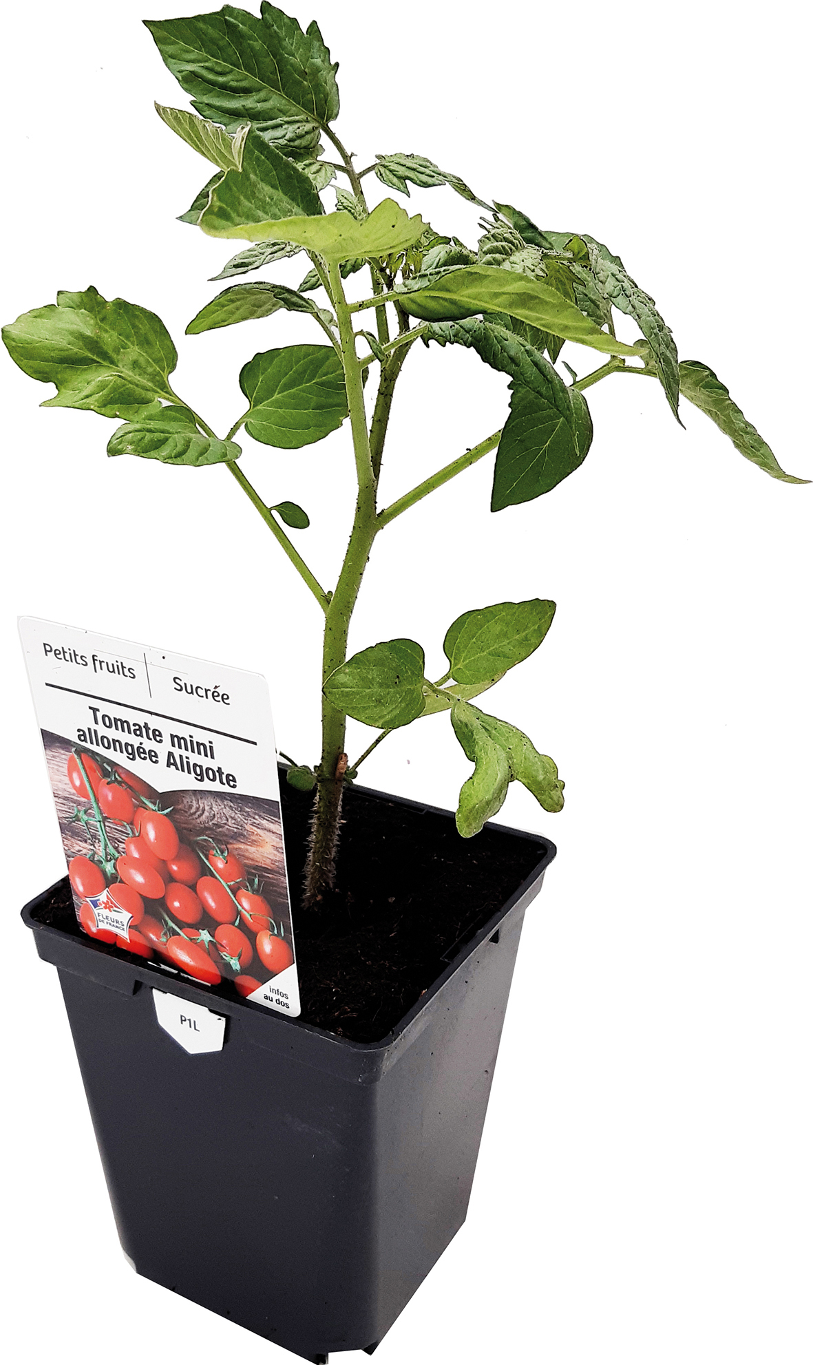  TOMATES code EAN 3599411040400 