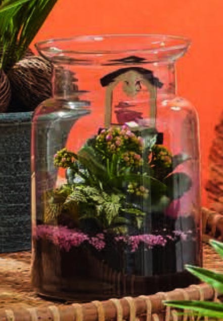 COMPOSITION DE PLANTES EN BOCAL 3599830677386 (3599830677386)